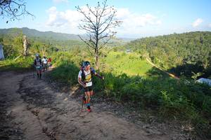 BIB: 
                            <button type="button" onclick="openModal(19341796)" class="btn btn-primary btn-sm float-right btn-popup" data-toggle="modal" data-target=".modal-high-quality">
                        <i class="fas fa-shopping-cart"></i> Add to Cart
                    </button>
                                            <button type="button" onclick="isThisMe(19341796, true)" class="btn btn-success btn-sm float-right btn-popup btn-isme hidden" data-toggle="tooltip" data-placement="bottom" title="นี่คือรูปของคุณใช่ไหม คลิกที่นี่เพื่อเอาเข้าอัลบั้ม">
                        <i class="fas fa-plus"></i> Add to album
                    </button>
                    <button type="button" onclick="isThisMe(19341796, false)" class="btn btn-warning btn-sm float-right btn-popup btn-isnotme hidden">
                        <i class="fas fa-ban"></i> Remove from album
                    </button>